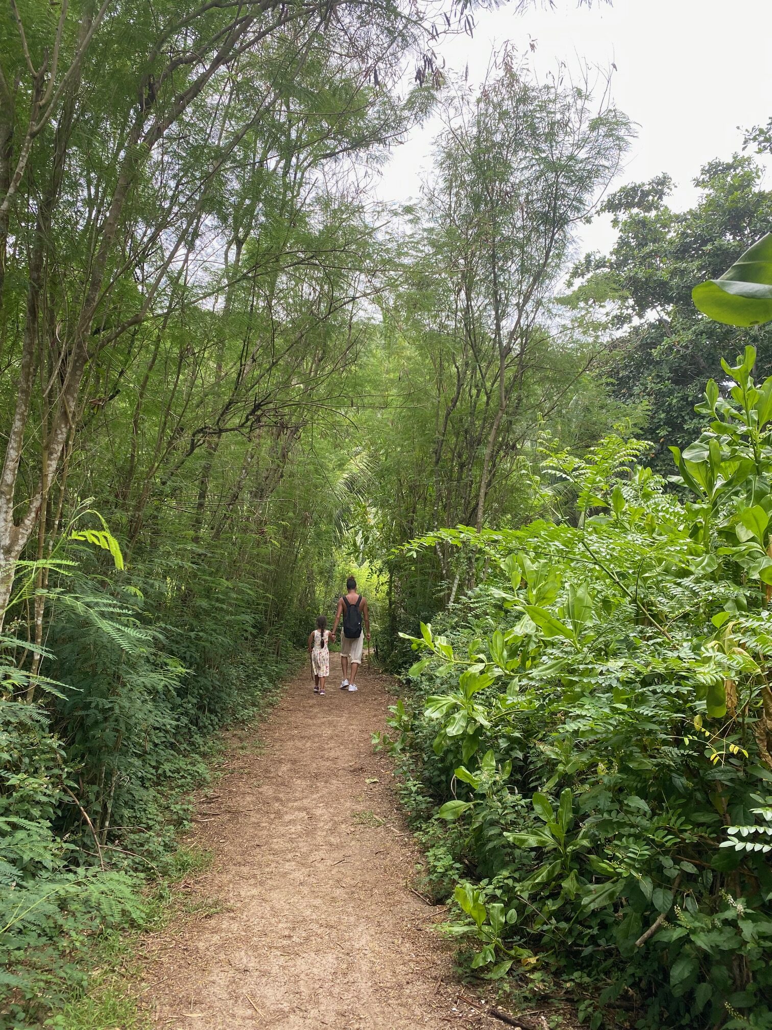 La Digue Highlights & Reisetipps