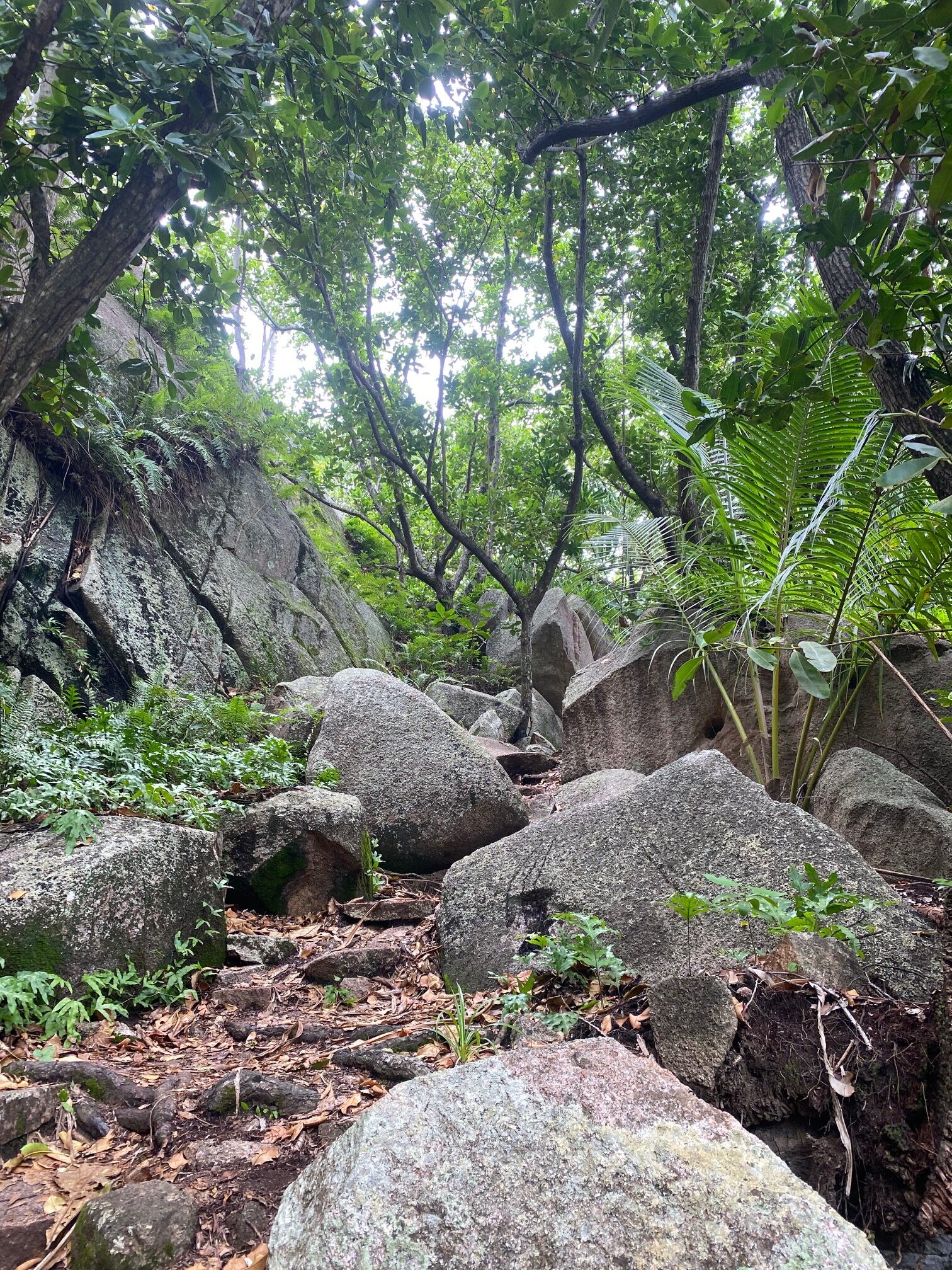 La Digue Highlights & Reisetipps