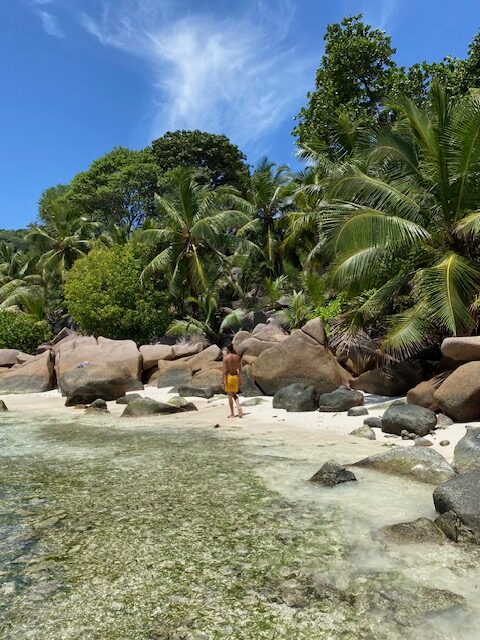 Anse Severe liegt im Nordwesten von La Digue, ein weiterer wunderbarer Strand, der gut besucht ist, da es hier viele kleine Stände mit Snacks und Getränken gibt und hier laufen auch ein paar Riesenschildkröten frei herum