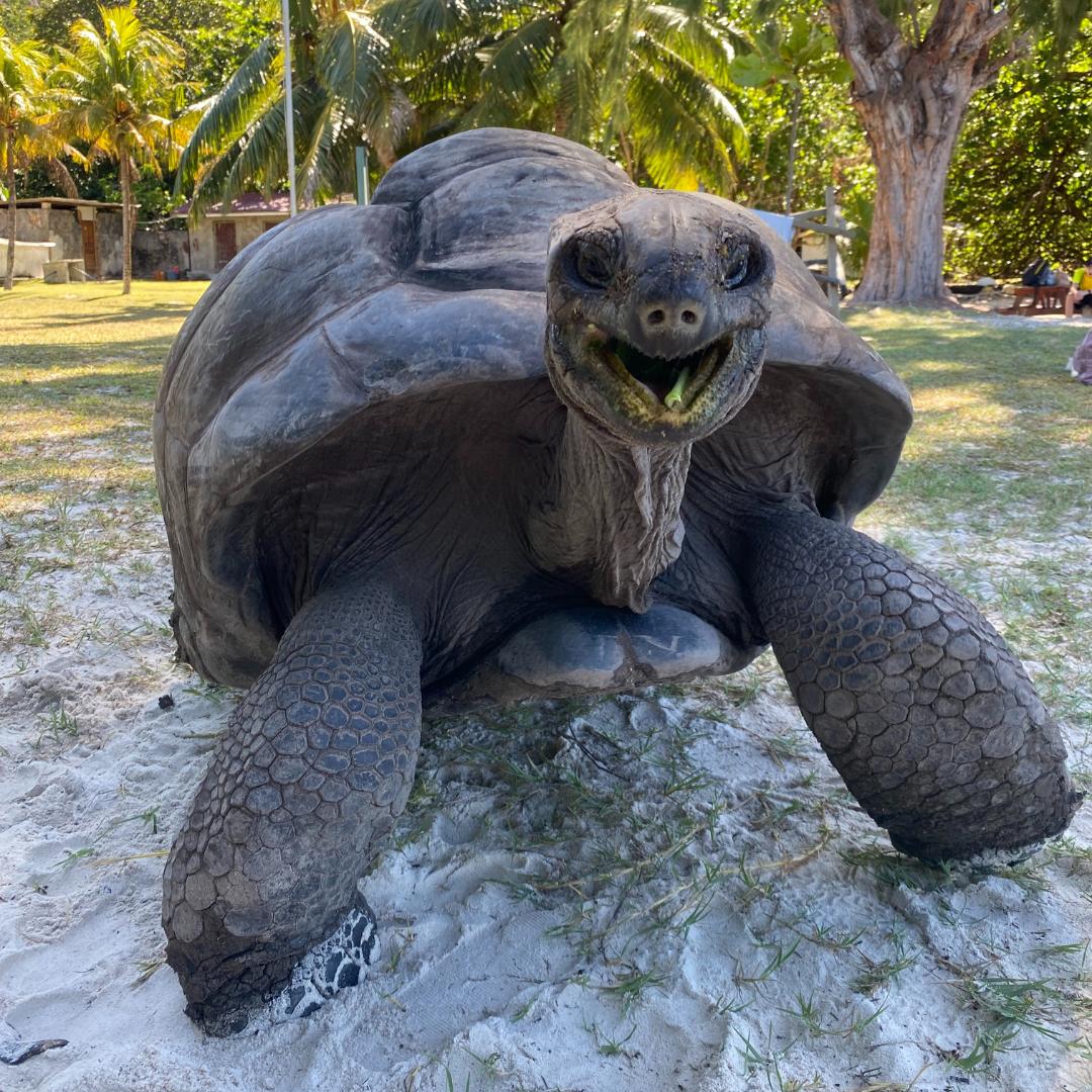Praslin
